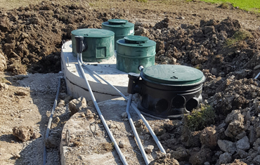 hessels dunnville, grain, seed