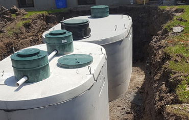 hessels dunnville, grain, seed