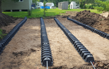 hessels dunnville, grain, seed