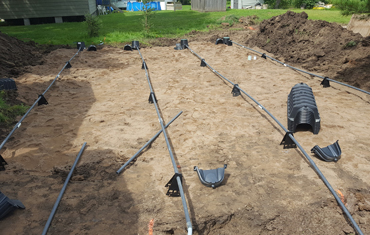 hessels dunnville, grain, seed