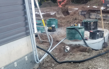 hessels dunnville, grain, seed