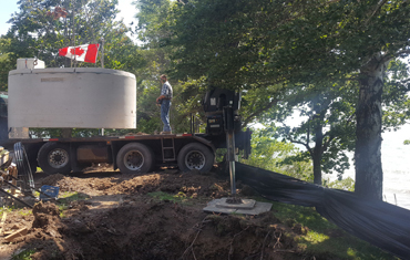 hessels dunnville, grain, seed