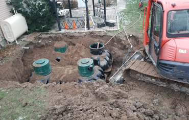 hessels dunnville, grain, seed