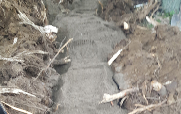 hessels dunnville, grain, seed