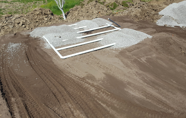 hessels dunnville, grain, seed